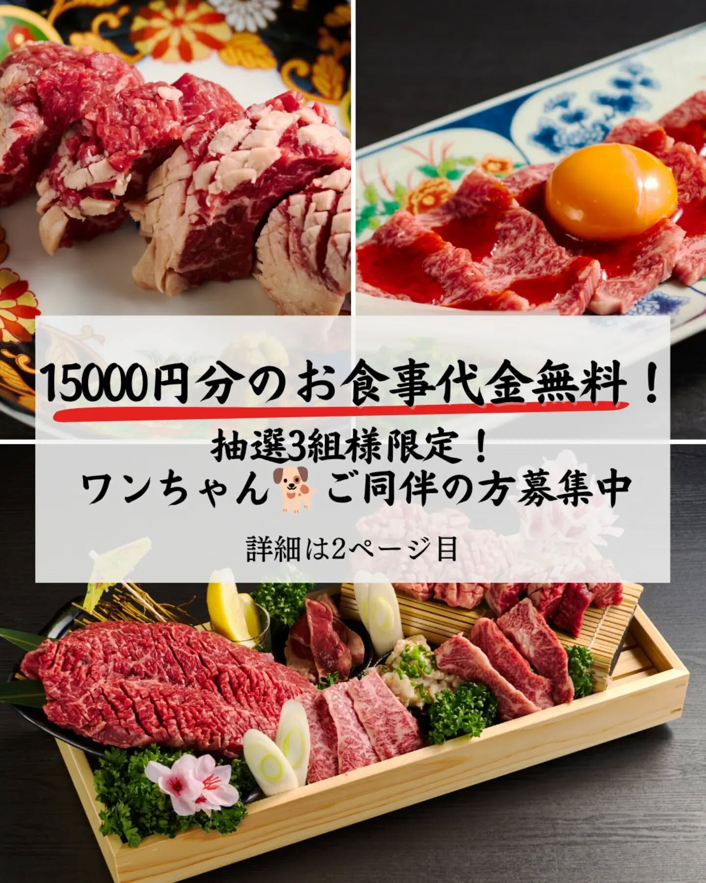 こんにちは！