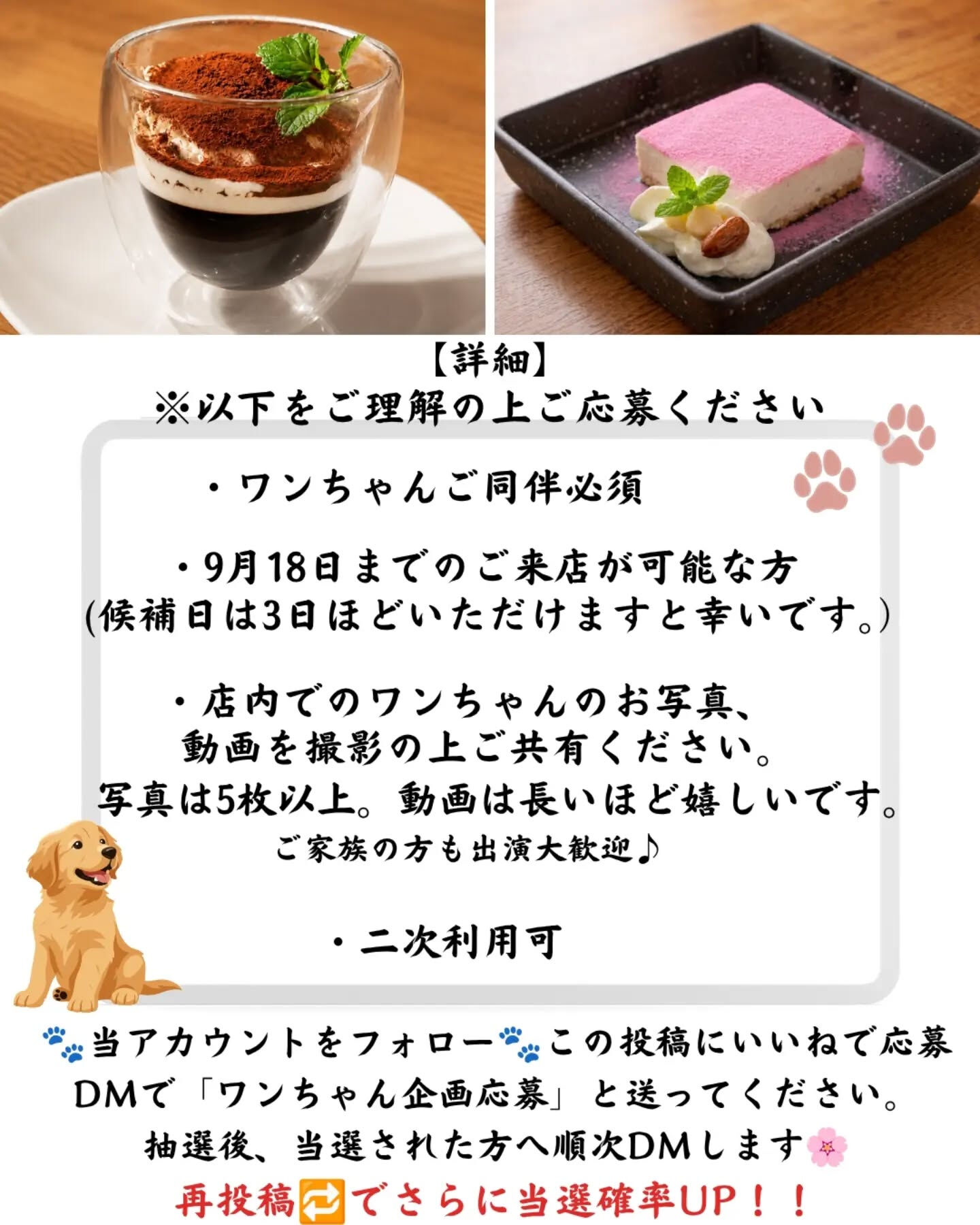 こんにちは！